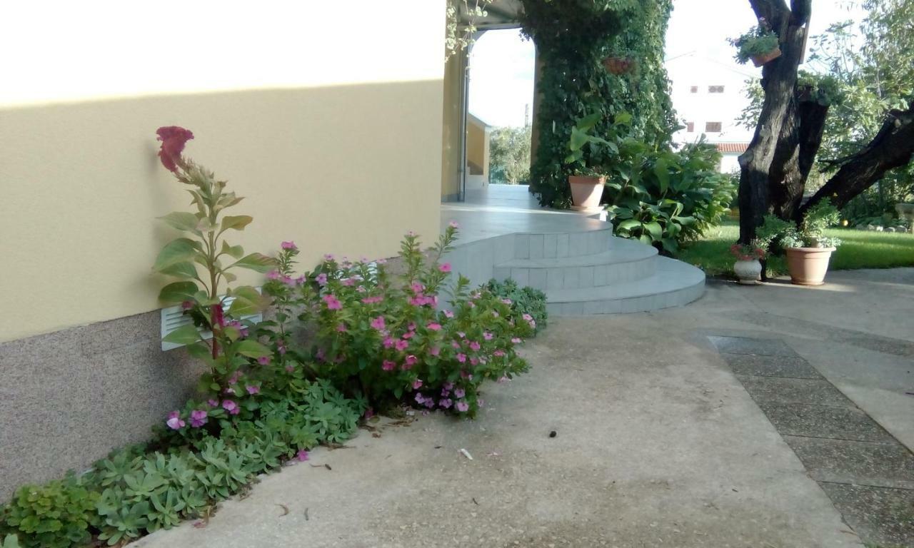 Apartments Meri Водице Экстерьер фото